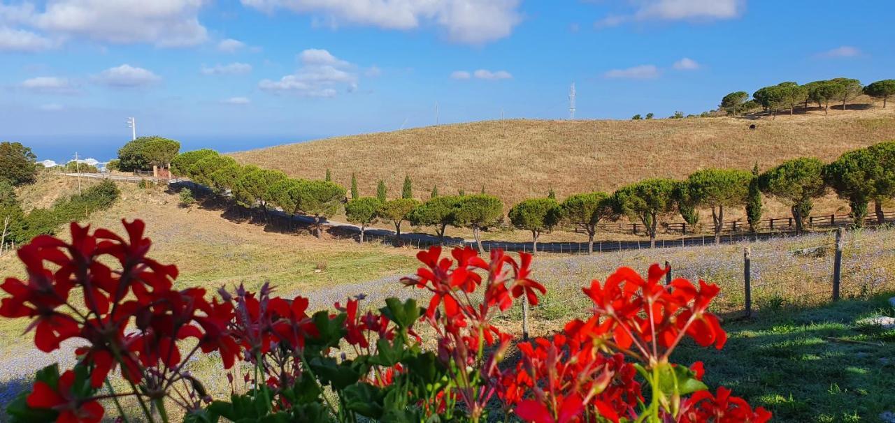צ'יוויטווקיה Hotel Tenuta Dell'Argento Resort מראה חיצוני תמונה